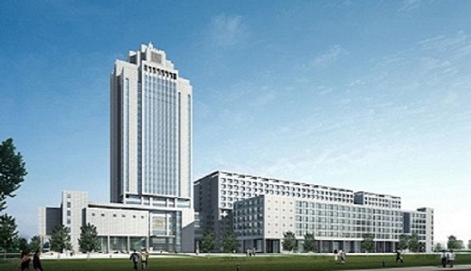 公司簡介